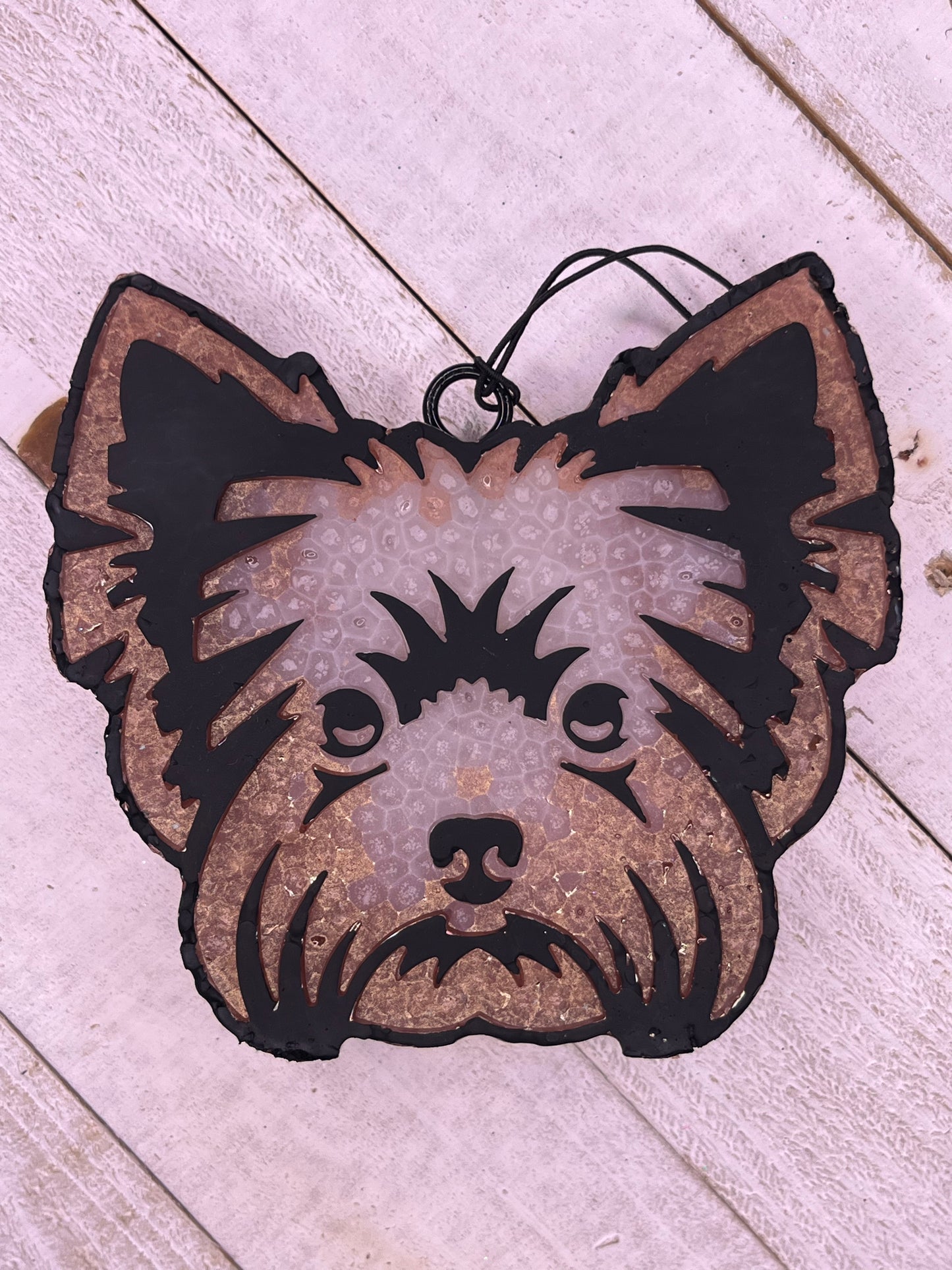 Yorkie Freshie