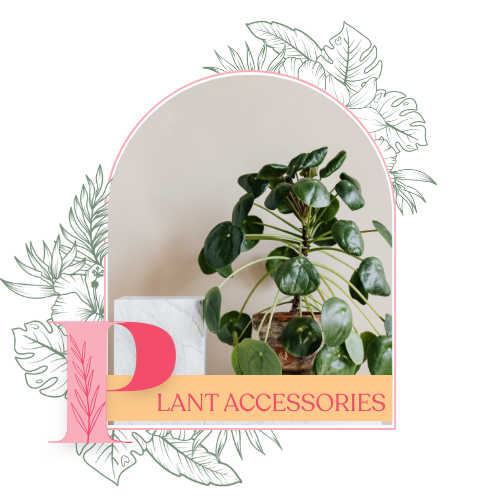 Plant Accessories