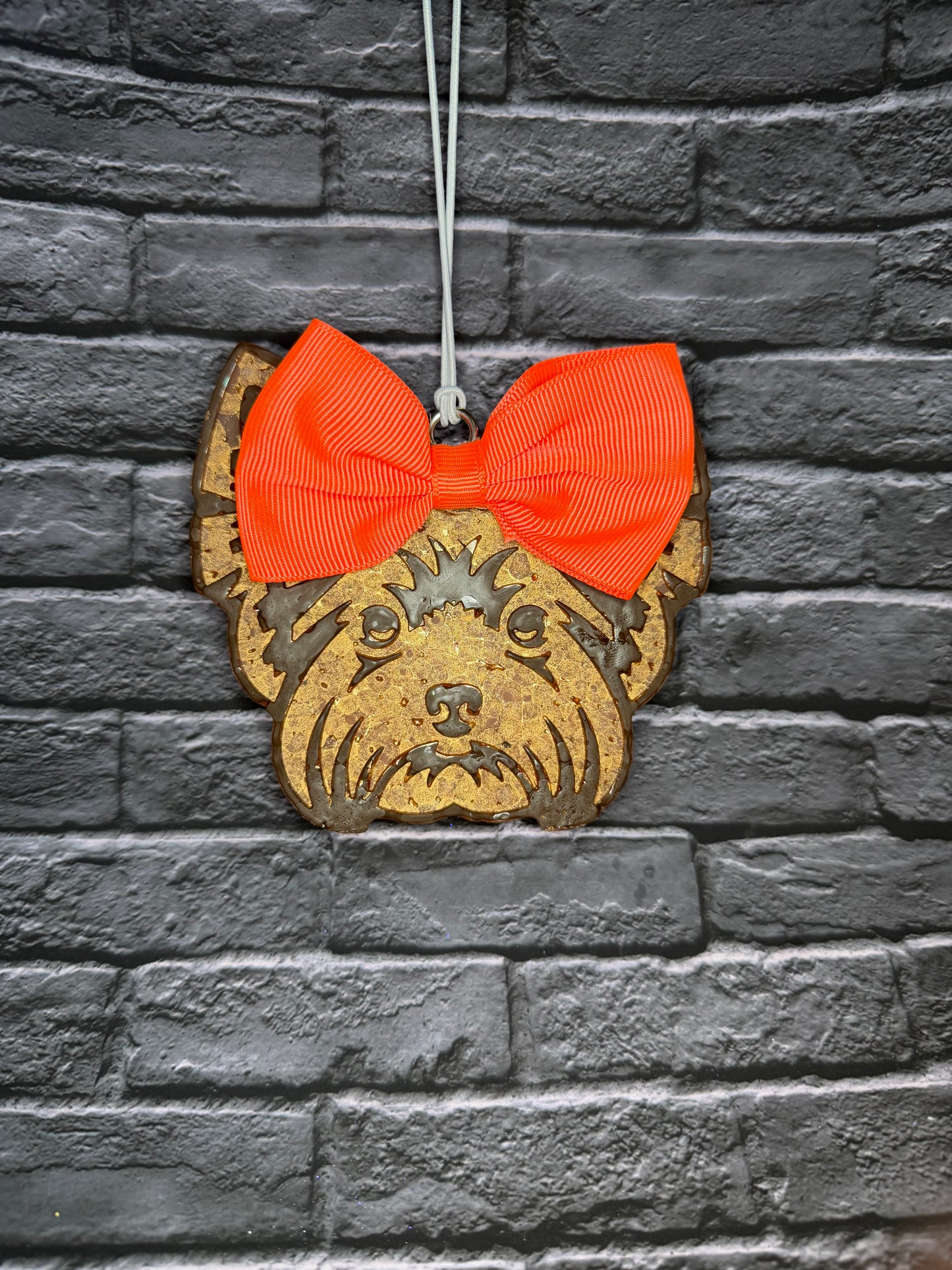 Yorkie Freshie