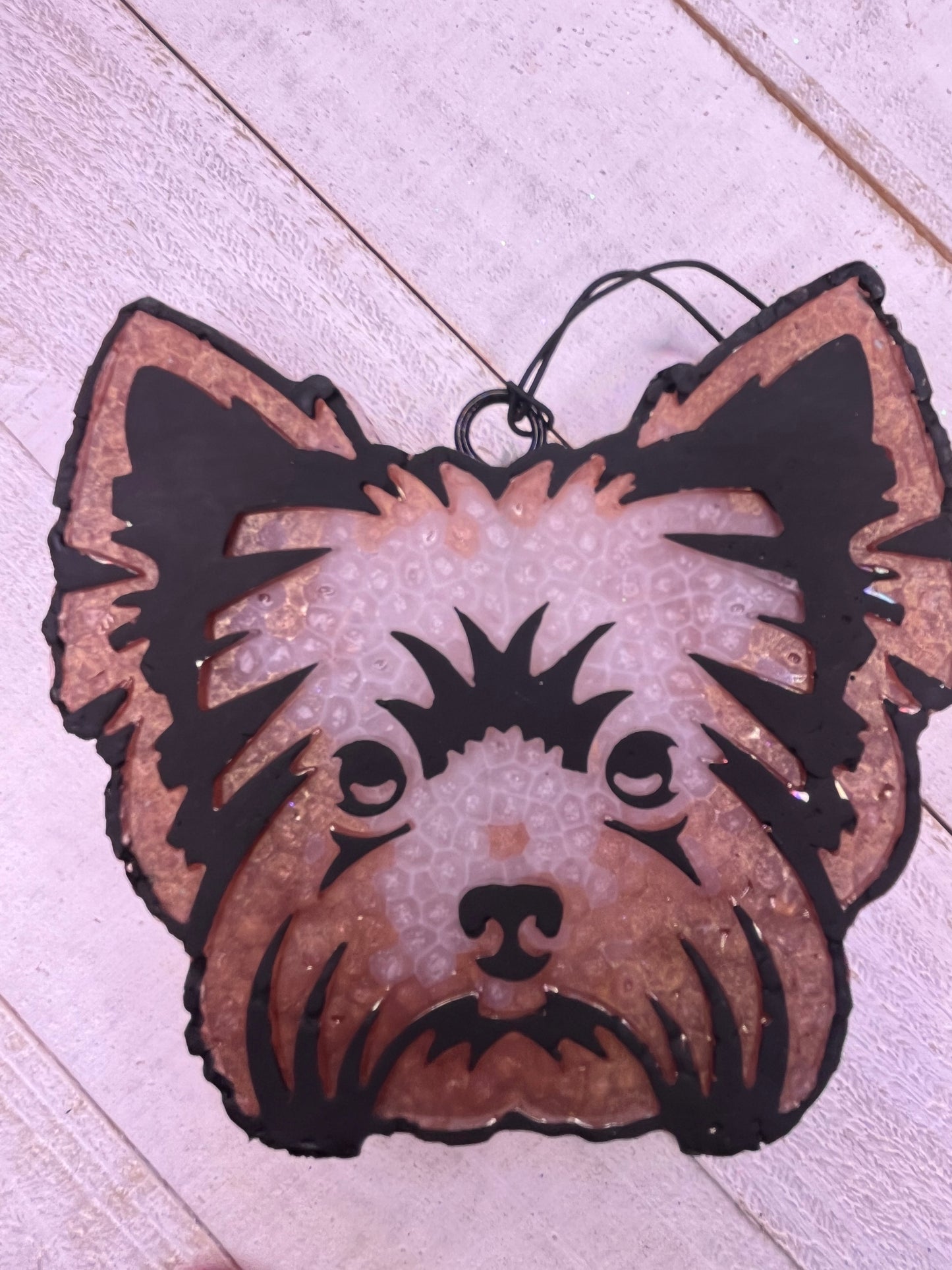 Yorkie Freshie
