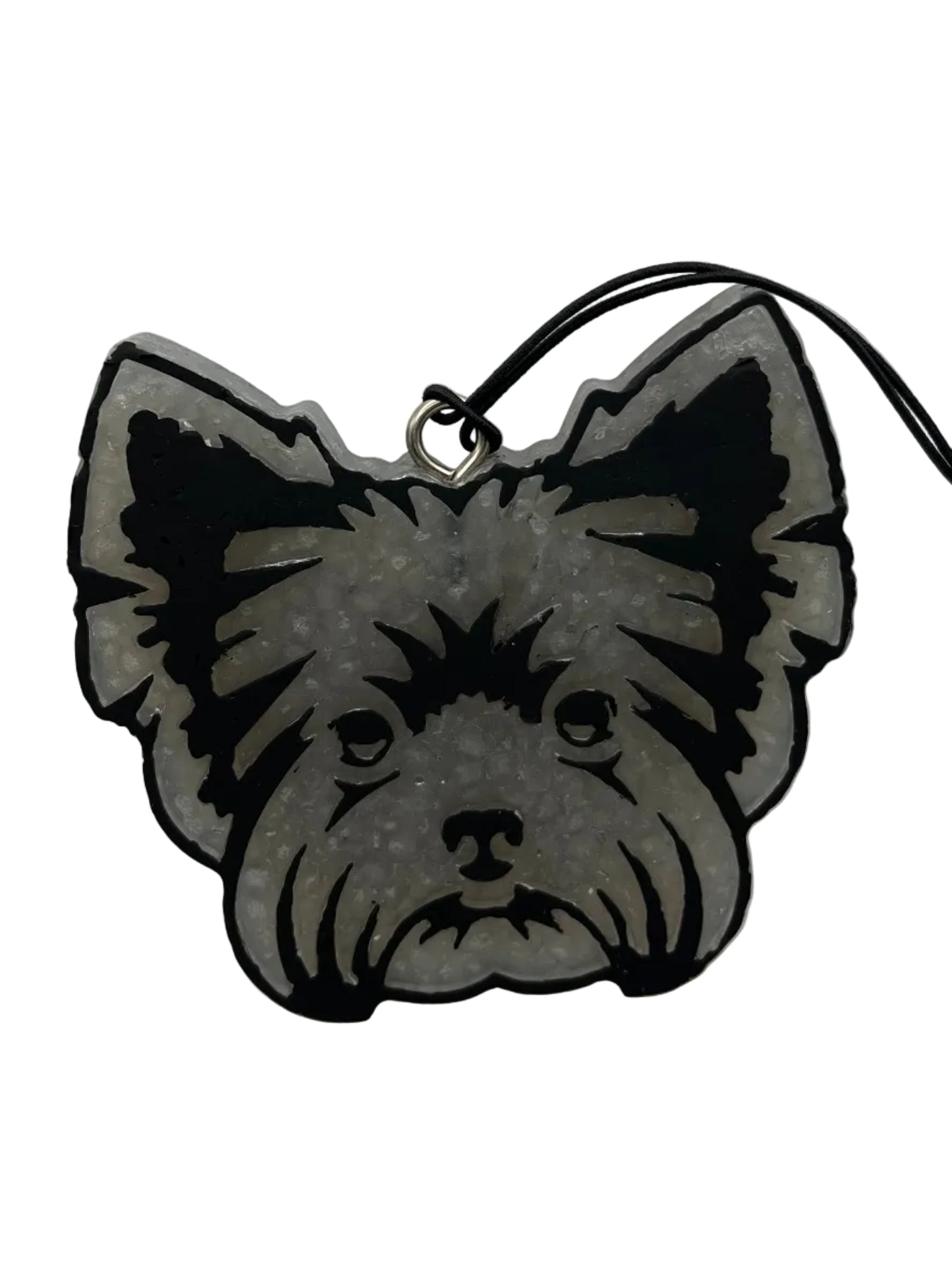 Yorkie Freshie